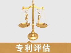 專利的價(jià)值評(píng)估，新手賣家必看